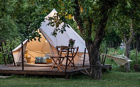 Dragonfly Gardens Urban Glamping Brasov